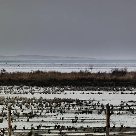 Deich Neuharlingersiel