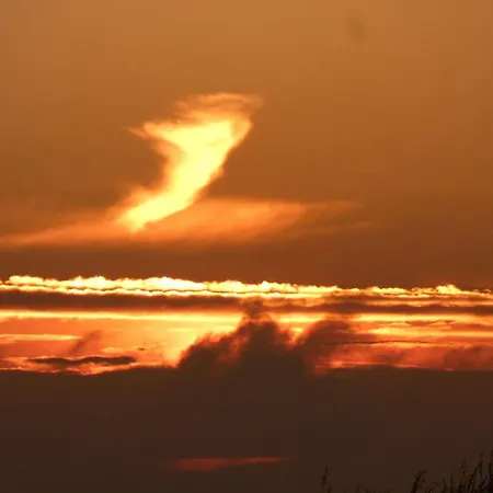 Deich * Neuharlingersiel
