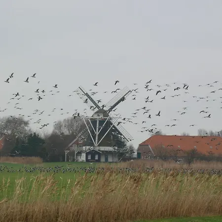 Deich Neuharlingersiel